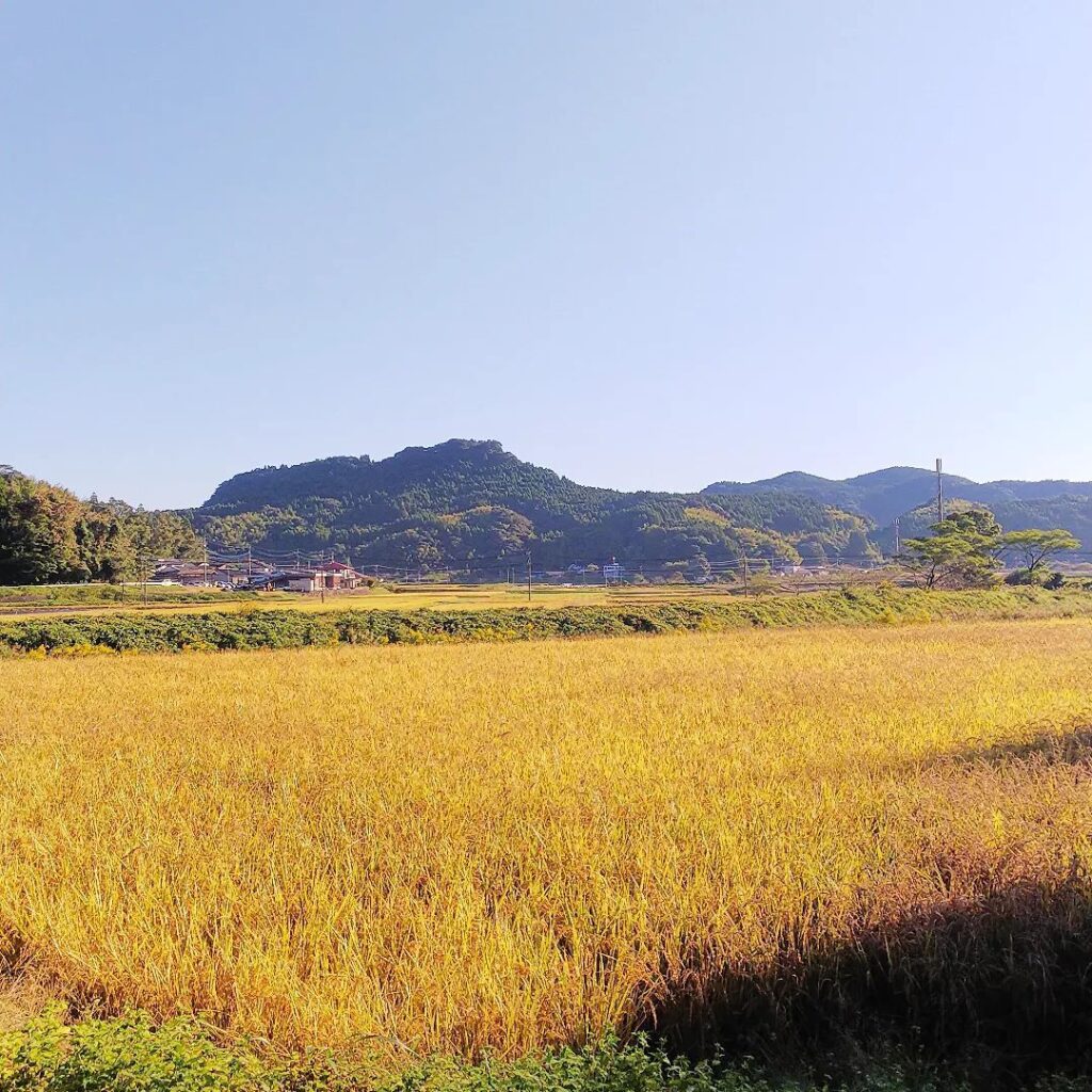 蒲生町の朝 ココシルあいら鹿児島